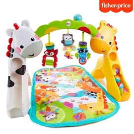 美国Fisher price 欢乐动物音乐健身器