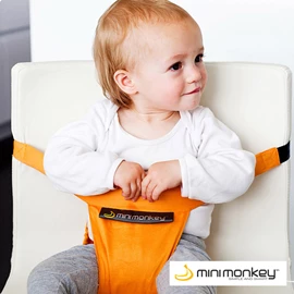 荷蘭MiniMonkey 嬰兒安全便攜座椅