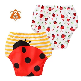 六層一體式學習褲-甲蟲 2枚入