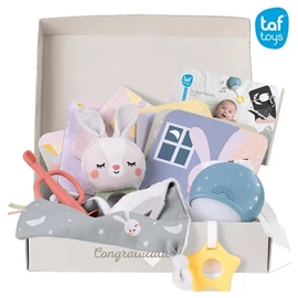 以色列TAF Toys Hello Baby 睡前禮盒套裝