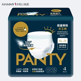 台灣六甲村 極量瞬吸．女王褲/ XL-2L碼 4入