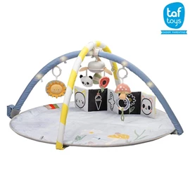 以色列TAF Toys 音乐游戏垫/ 花舞乐园