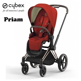 德國Cybex PRIAM 嬰兒手推車/ 玫瑰金車架 Autumn Gold