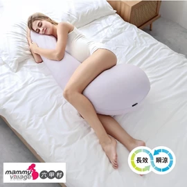台灣六甲村 SleepIn胚胎孕婦枕² (三色選)