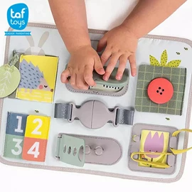 以色列TAF Toys 活动扣板玩具