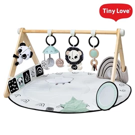 美國Tiny Love 黑白感官發展遊戲墊