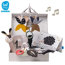 以色列TAF Toys 新生儿黑白感官玩具套装